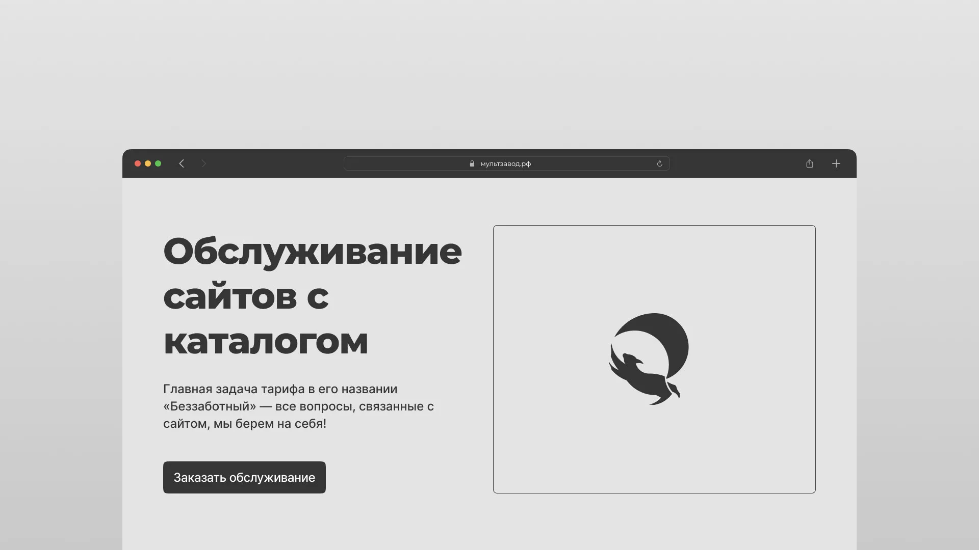 Разработка и продвижение сайтов в Петропавловск-Камчатский, создание  интернет-магазинов